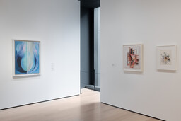 Installation photo, 17 of 18
