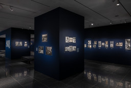 Installation photo, 15 of 23