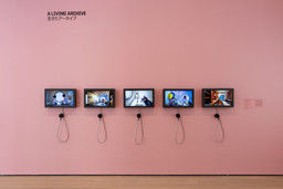 Installation photo, 10 of 16