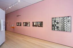 Installation photo, 14 of 16