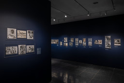 Installation photo, 16 of 23