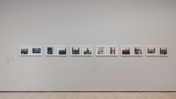 Installation photo, 14 of 16