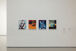 Installation photo, 11 of 17