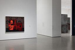 Installation photo, 16 of 17