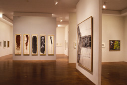 Installation photo, 71 of 107