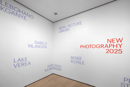 Installation photo, 3 of 33