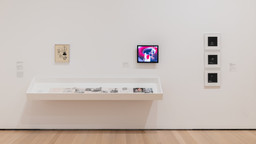Installation photo, 29 of 34