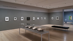 Installation photo, 6 of 11