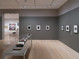 Installation photo, 3 of 11