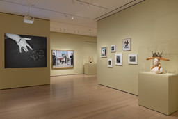 Installation photo, 20 of 30