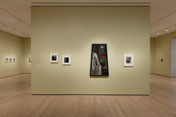 Installation photo, 5 of 30