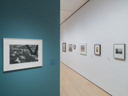 Installation photo, 16 of 21