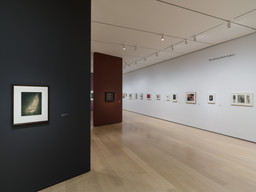 Installation photo, 2 of 21