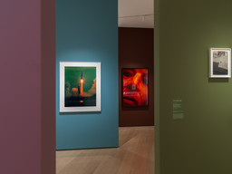 Installation photo, 18 of 21
