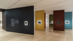 Installation photo, 1 of 21