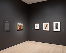 Installation photo, 5 of 10