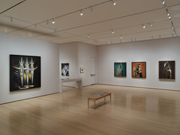 Installation photo, 46 of 74