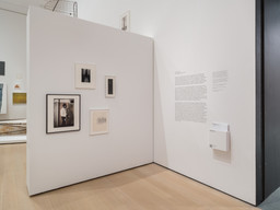 Installation photo, 3 of 20