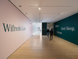 Installation photo, 70 of 74