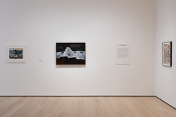 Installation photo, 19 of 24