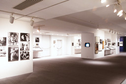 Installation photo, 27 of 38