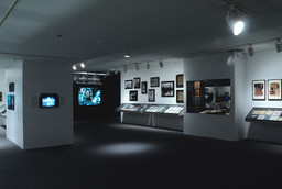 Installation photo, 29 of 38