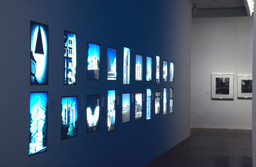 Installation photo, 45 of 45