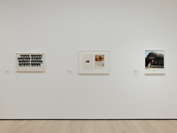 Installation photo, 19 of 19