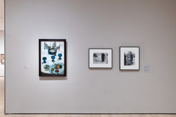 Installation photo, 24 of 25