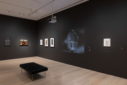 Installation photo, 9 of 10