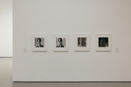 Installation photo, 16 of 17