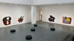 Installation photo, 10 of 11