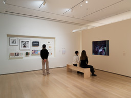 Installation photo, 39 of 42