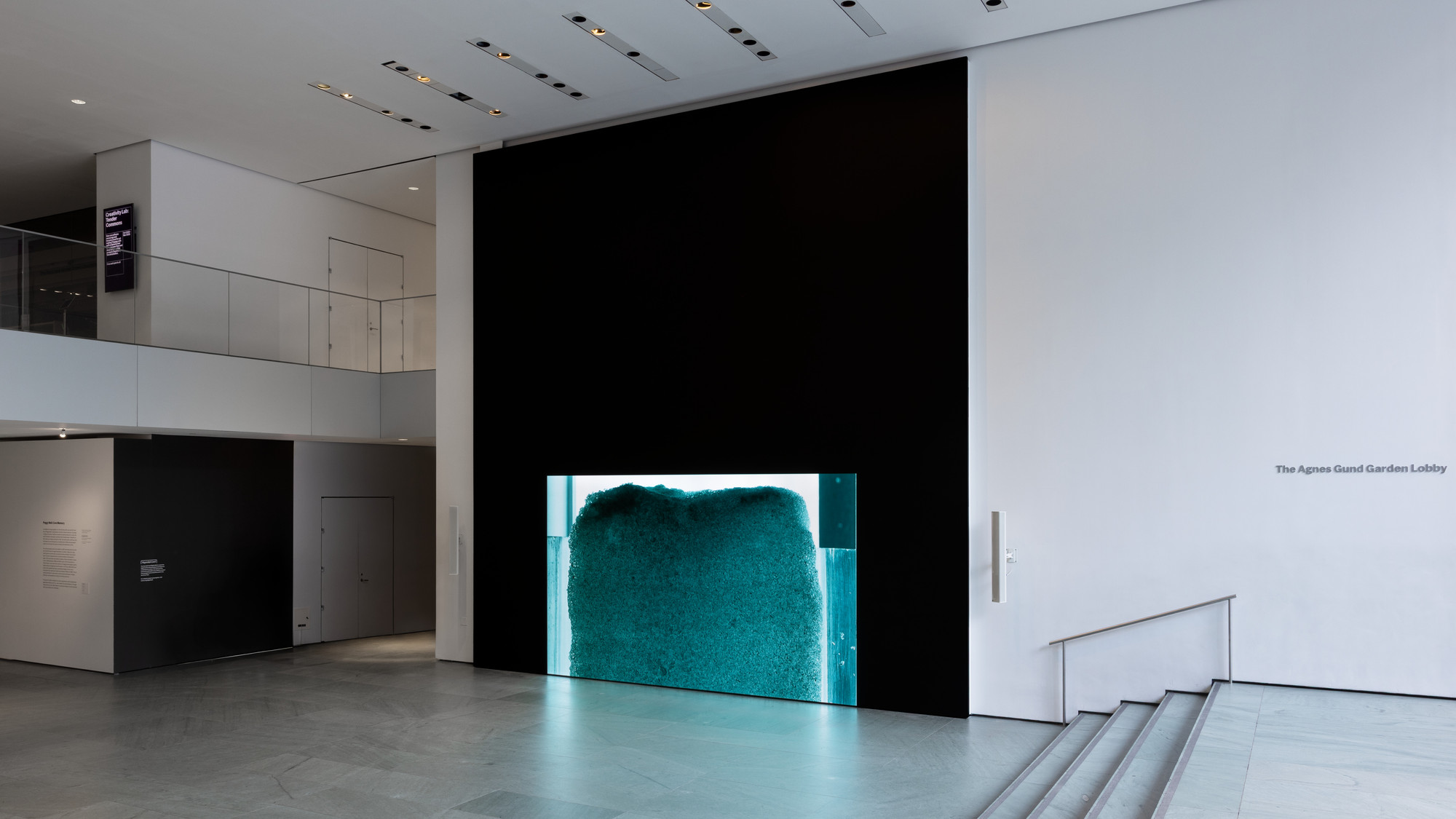 Installation view of the exhibition