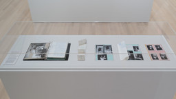 Installation photo, 109 of 118