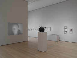 Installation photo, 100 of 118
