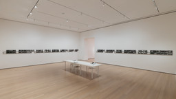 Installation photo, 7 of 8