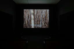 Installation photo, 4 of 8