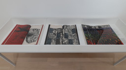Installation photo, 9 of 9