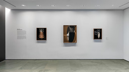 Installation photo, 1 of 2