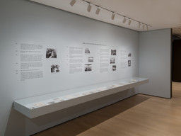 Installation photo, 10 of 37