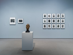 Installation photo, 16 of 17