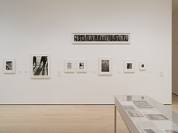 Installation photo, 16 of 21