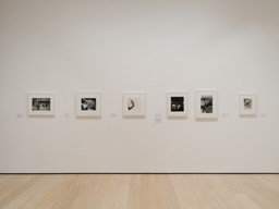 Installation photo, 18 of 21