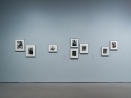 Installation photo, 15 of 17