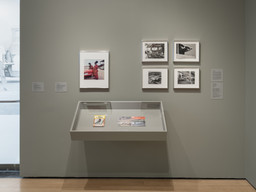 Installation photo, 10 of 68