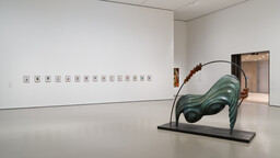 Installation photo, 4 of 6