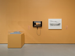 Installation photo, 20 of 21