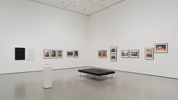 Installation photo, 8 of 11