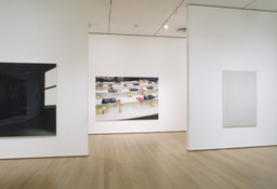 Installation photo, 12 of 19